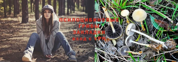 MESCALINE Абинск