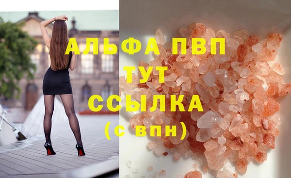 PSILOCYBIN Беслан