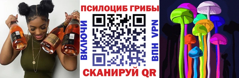 Псилоцибиновые грибы Cubensis  Калач 