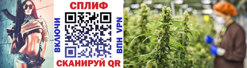 Бошки Шишки сатива  где купить   Калач 